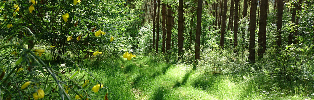 Himmelpforten Urlaubsziel